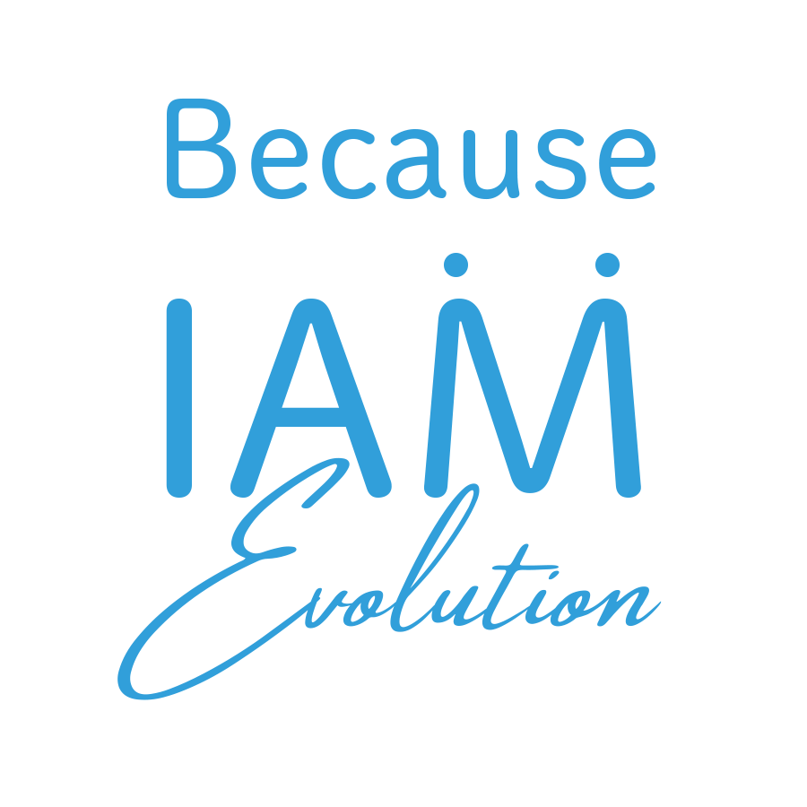 Because IAM Evolution